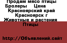 Продам мясо птицы “Бролеры“ › Цена ­ 300 - Красноярский край, Красноярск г. Животные и растения » Птицы   